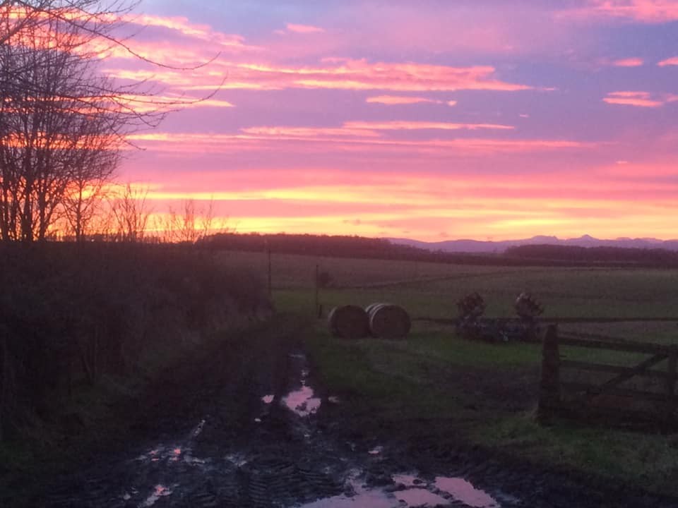 Lesley Dow - Tibbermore