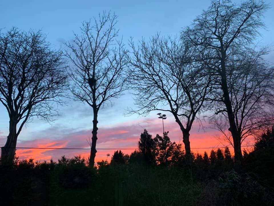 Susan Campbell - Dunning