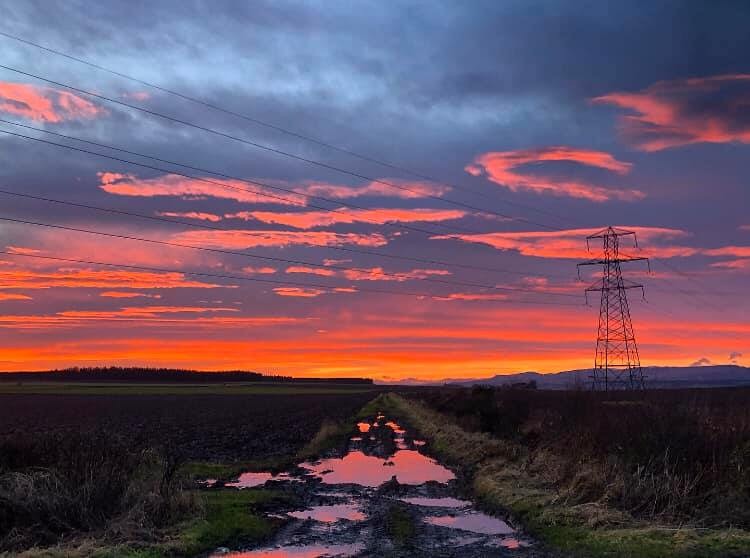 Lesley Dow - Tibbermore