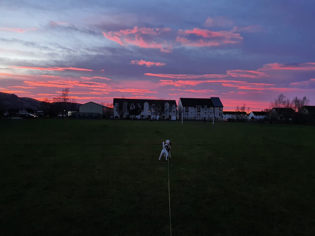 Lorna Donaldson - Bridge of Earn