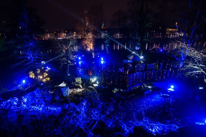 Burns Night - Lights