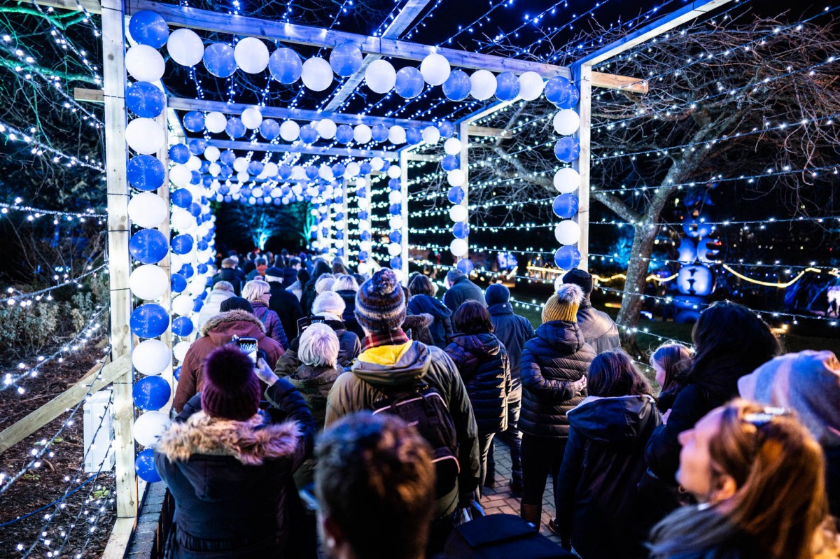 Through the tunnel of lights into Norrie Miller park.