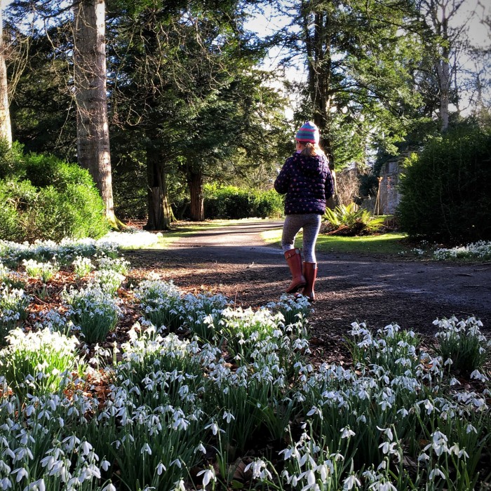 Scone Palace will host the Snowdrop Festival this February.