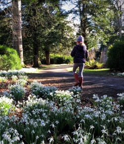Using Snowdrops to Beat the Winter Blues
