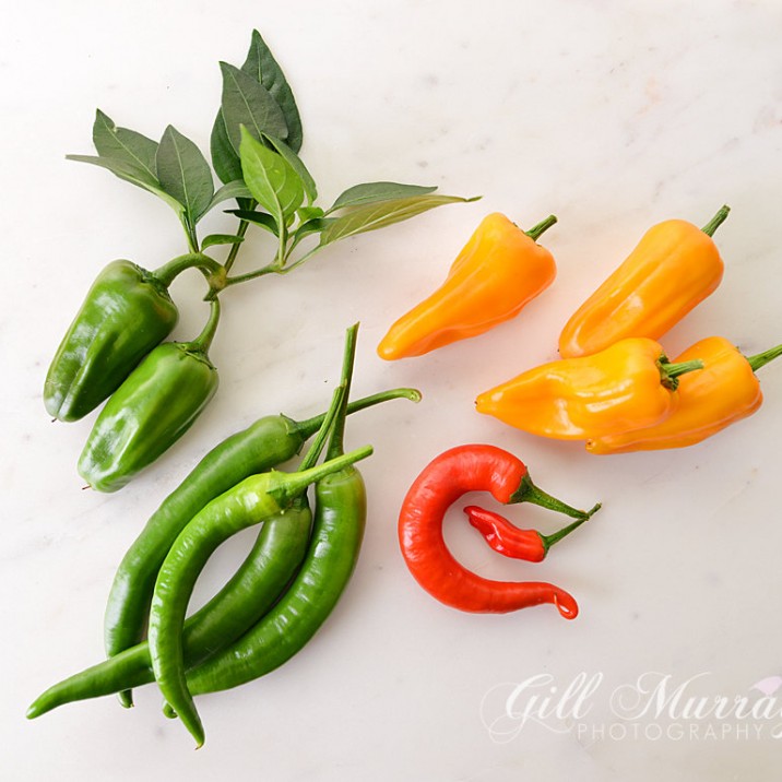 Buy Fresh Chillis At The Chilli Festival in Perth